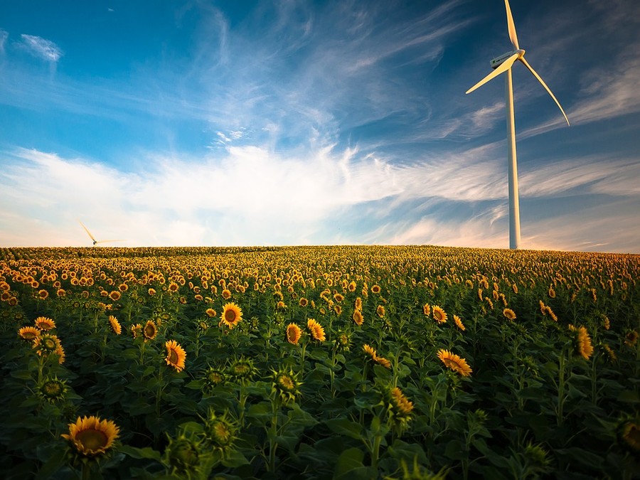 Futuro green, italiani più fiduciosi degli europei